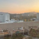 카톨릭대학교 | 카톨릭 대학교 서울 성모병원 김미란 교수님 자궁내막...로봇수술 6개월차 후기 파워 j 수술 준비물 리스트