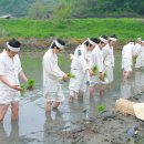 초록지기마을