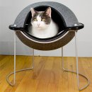 세련되고 아늑한 고양이 침대 20가지 Chic and Cozy Cat Beds: 20 Modern Ideas 이미지