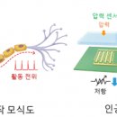 뉴런