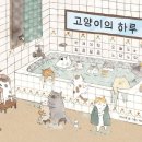 고양이의 하루 이미지