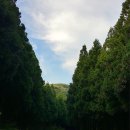 숲속이야기 이미지