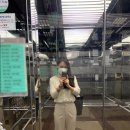 중동1106-5(신흥로 접속부) ↔ 중동1107(조마루로317번길 접속부) | 2020년 6월 일상