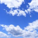 하늘보라 이미지