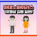 아데노바이러스 주의 이미지