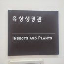 목포자연사박물관 네이버블로그