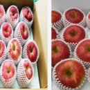 길안청송로(길안면) 이미지