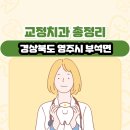 영주시부석면보건지소 | 경상북도 영주시 부석면 교정치과 총정리