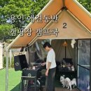 오렌지애견 | 용인 애견동반 캠핑장 용인 바베큐 캠프쿡에서 당일치기 캠핑🏕 직접 다녀온 후기
