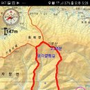 기룡산(961)/꼬깔산(737)-영천 이미지