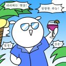 더글라스 안경원 | 광천동선글라스 추천｜젠틀몬스터 선글라스 직접 써보고 고른 더글라스 광천점 후기