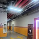 11650-16-114-13 | 아이랑 송도마술쇼 매직카바레 솔직 후기, 셋 다 홀딱 빠진 이유