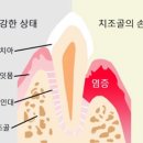 이상동물병원 이미지