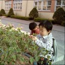 서산초등학교 이미지