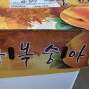 삼태산 농장 Daum카페