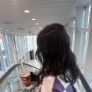 세븐일레븐 만수대로점 B | 도쿄 여행 1일차