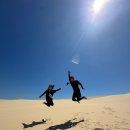 ㈜대한관광여행사 | 1일 투어 포트스테판 사막 썰매 &amp; 돌핀 크루즈 후기(ft. 대한 관광여행사 뭉쳐야 싸다 투어 픽드랍 장소)