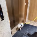 에이치에비뉴 평택고덕점 이미지