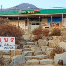 초향기 | 음성 맛집 초향기칼국수 솔직후기