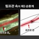 이매진사이언스 이미지