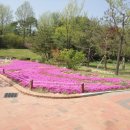 강릉교동짬뽕 이미지