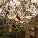 서상농장 이미지