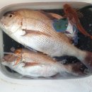 남해-318 이미지