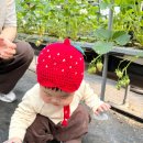 베베시앙 이미지