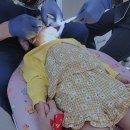 아이틴주니어치과의원 이미지