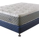 씨에스디 이미지