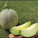 다성농장 이미지