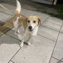 이마트24 옥천교점