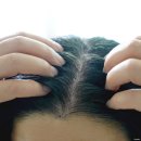 (주)피엔지 | 지성두피샴푸 추천, 헤드앤숄더 샴푸로 두피 각질 제거 케어하기