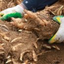 안성면080 이미지