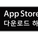 딱지애견샵 이미지