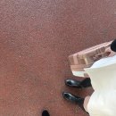 롯데 | 롯데월드 통대관 이벤트, 롯데 패밀리 페스티벌 후기