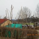 부산외국어대학교체육관 이미지