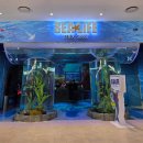 코엑스아쿠아리움 | 씨라이프 코엑스 아쿠아리움 주중 관람 후기