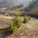 대한농장 이미지