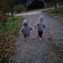 예산느티나무캠핑장 이미지