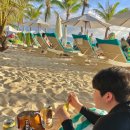 투하트호텔 | 보라카이 일기 4 | 시즐링 오버로드,섬머 팰리스 호텔,투브라운보이즈,할로망고,침니케이크