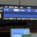 알리몰리 스튜디오(유) | 바둑이즈 in 상하이