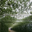 중현농장 이미지