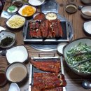 풍경장어 이미지