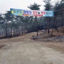 곡성사슴