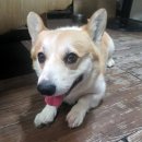 경기도 수원시 팔달구 동말로 이미지