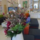 효도한의원 이미지