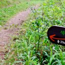 서면 당림2리 이미지