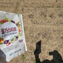 준오농장 이미지