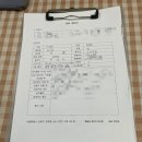 땡일리 애견 유치원 이미지